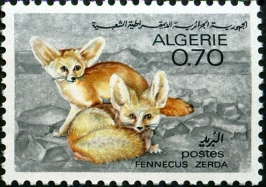 Stamp
