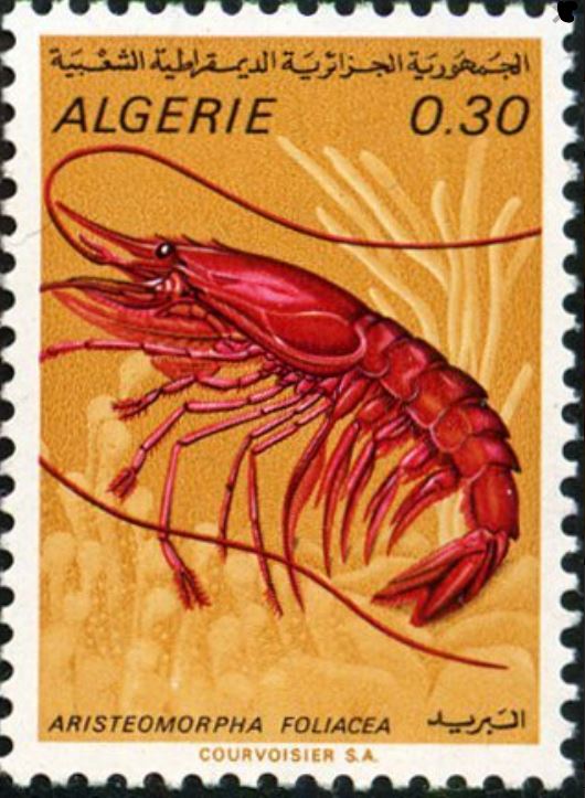 Stamp