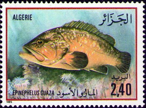 Stamp
