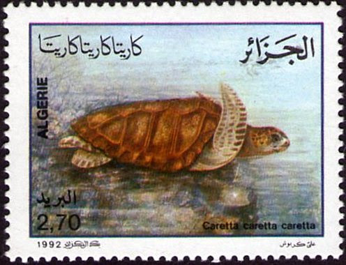 Stamp