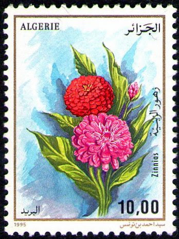 Stamp