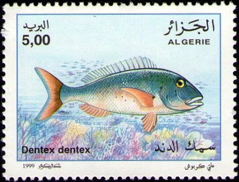 Stamp