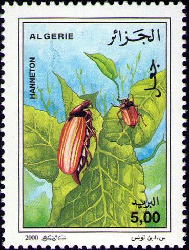 Stamp