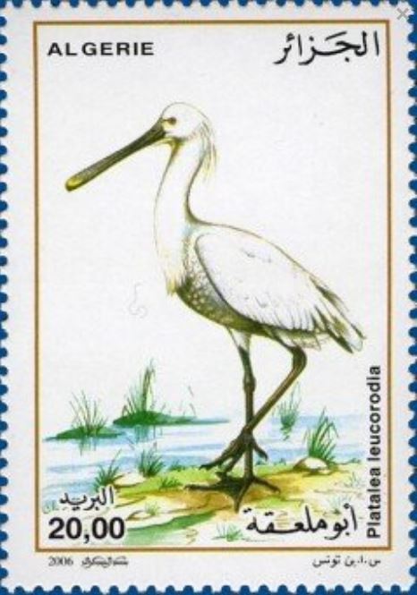 Stamp