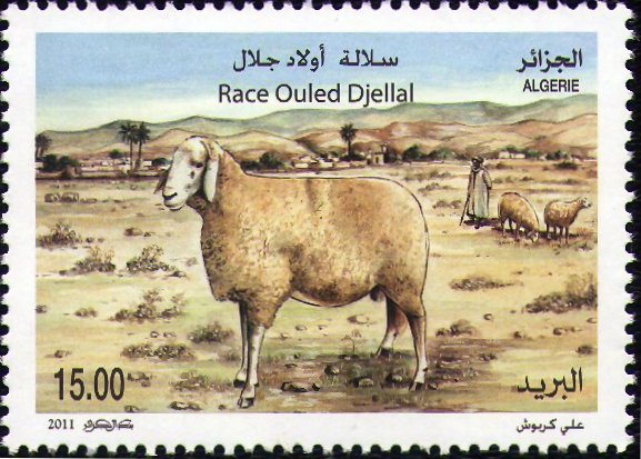 Stamp