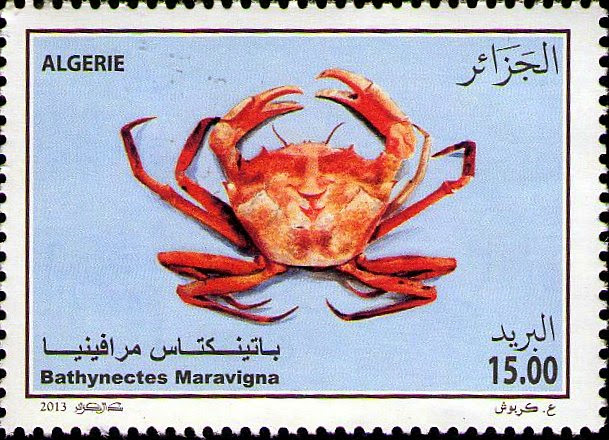 Stamp