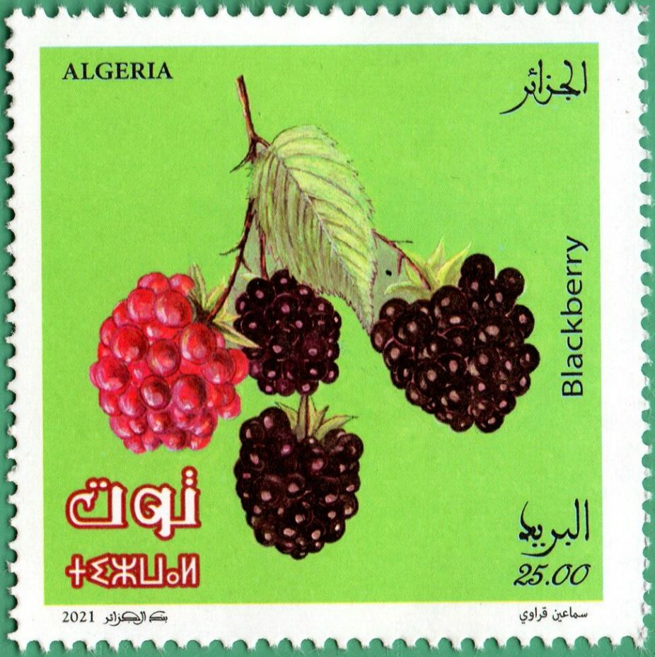 Stamp