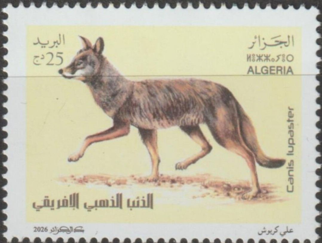 Stamp