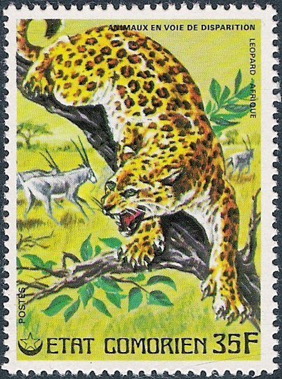 Stamp