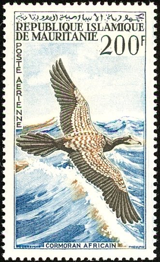 Stamp