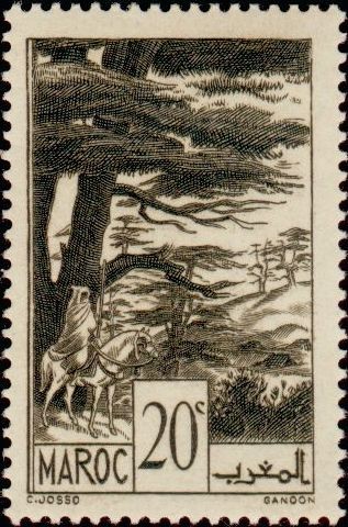 Stamp