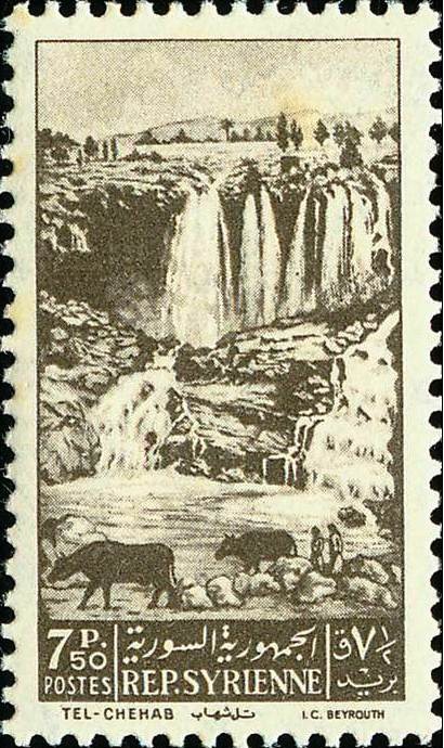 Stamp