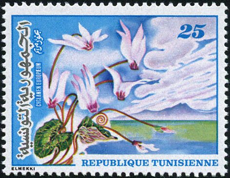 Stamp