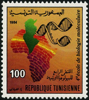 Stamp
