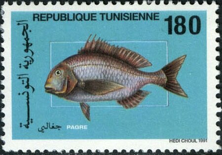 Stamp