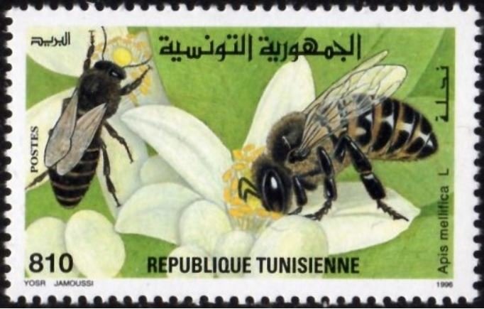 Stamp