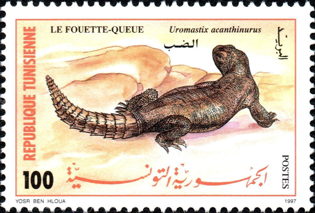 Stamp
