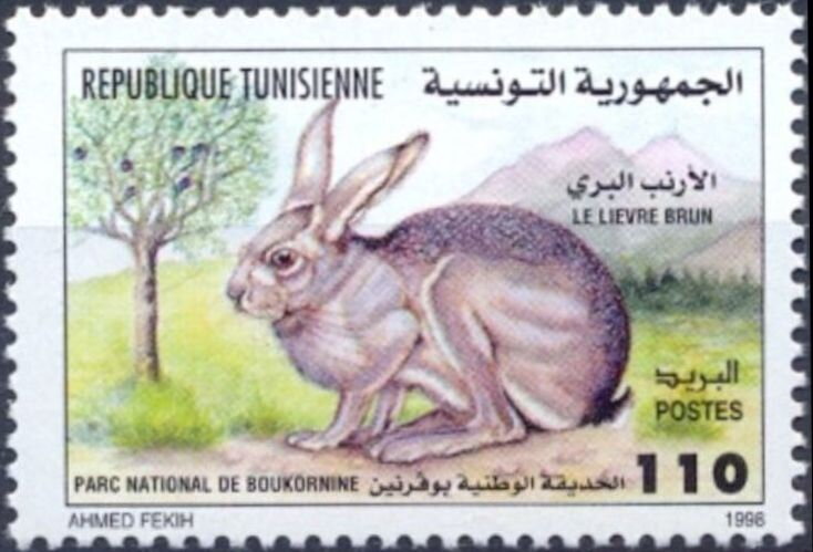 Stamp