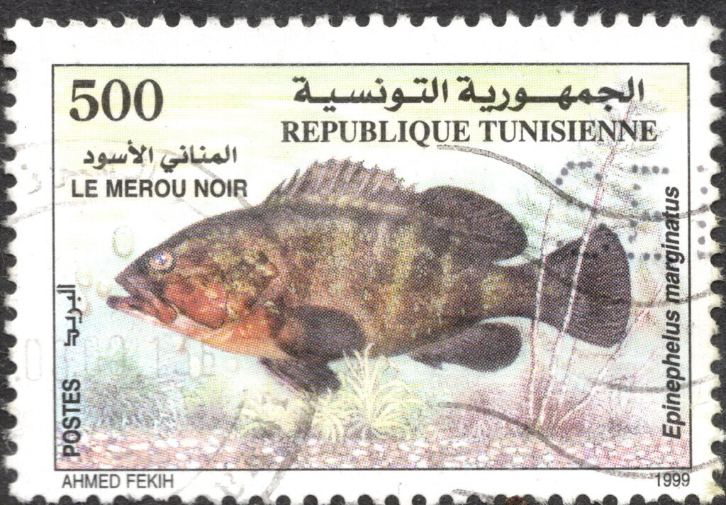 Stamp