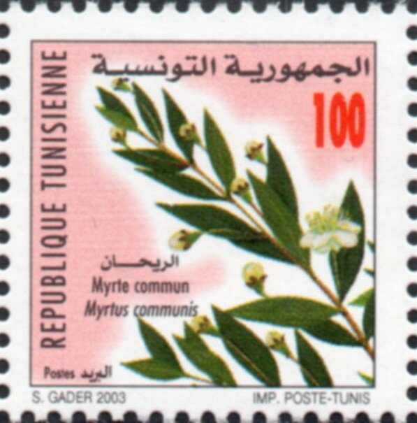 Stamp