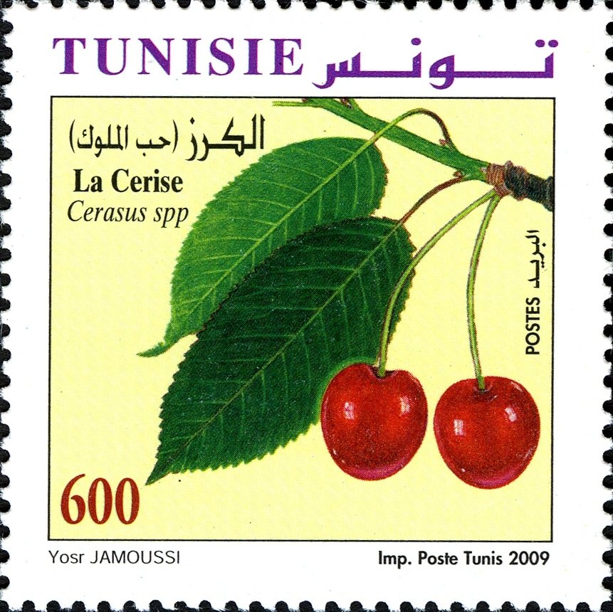 Stamp