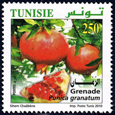 Stamp