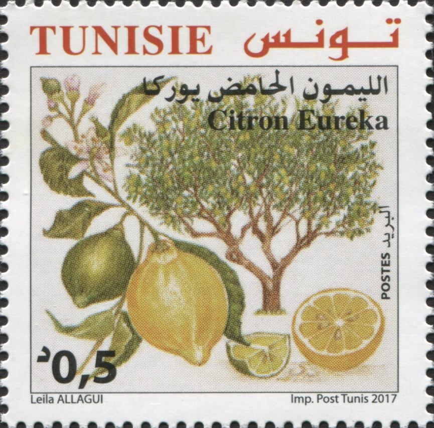 Stamp
