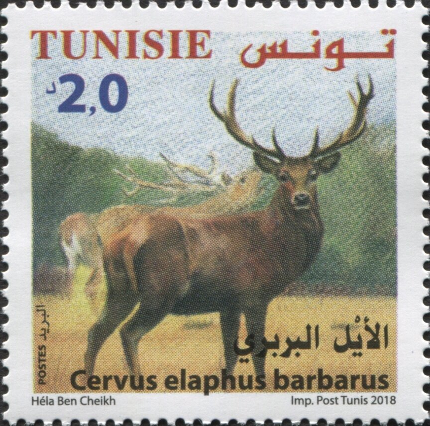 Stamp