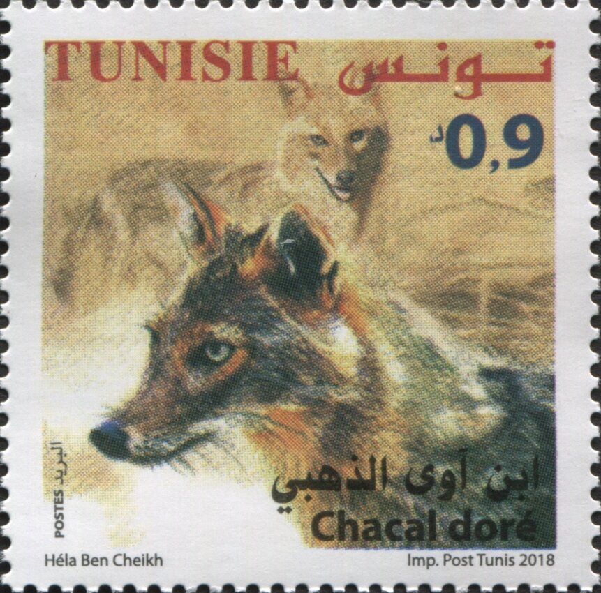 Stamp