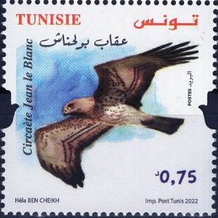 Stamp