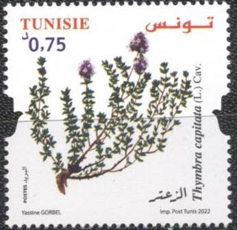 Stamp