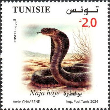 Stamp
