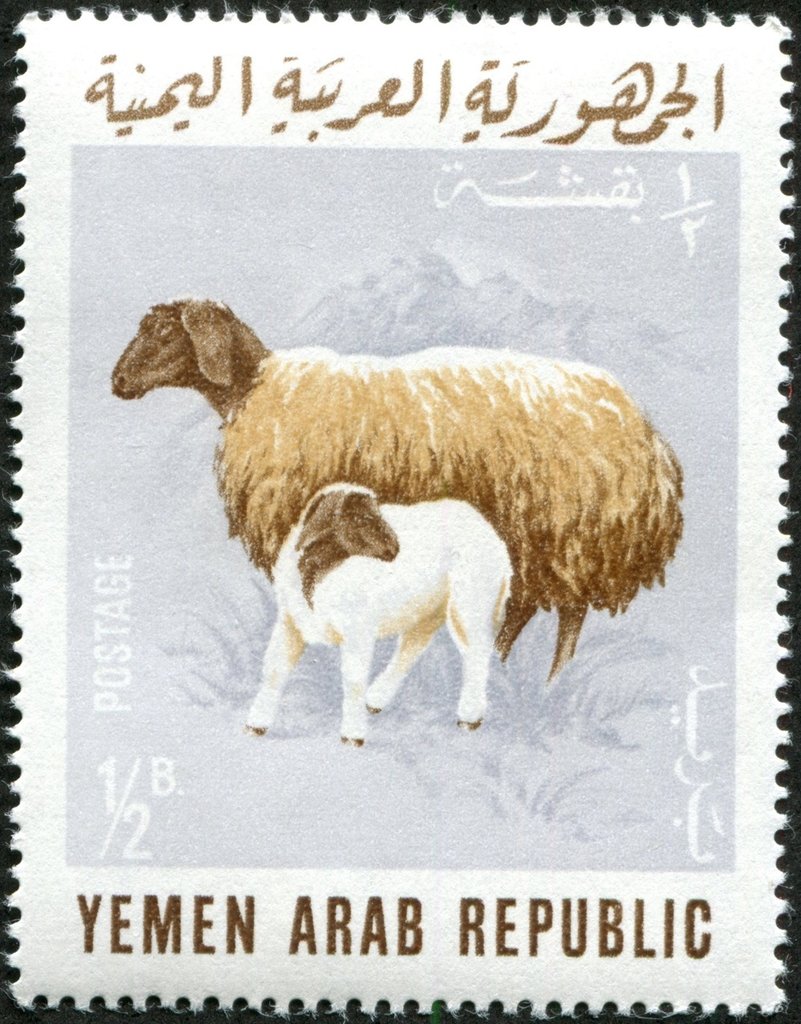 Stamp